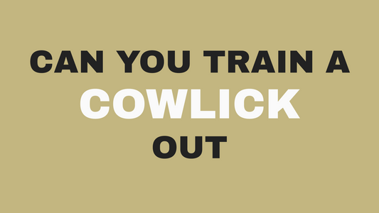 Can You Actually Train a Cowlick Out? What 30 Years in Pasadena Taught Us