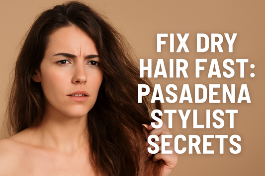 Pasadena stylist secrets to fix dry hair fast – woman holding frizzy brown hair with bold text overlay.